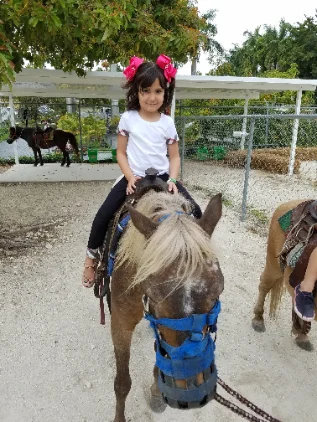 Ponies