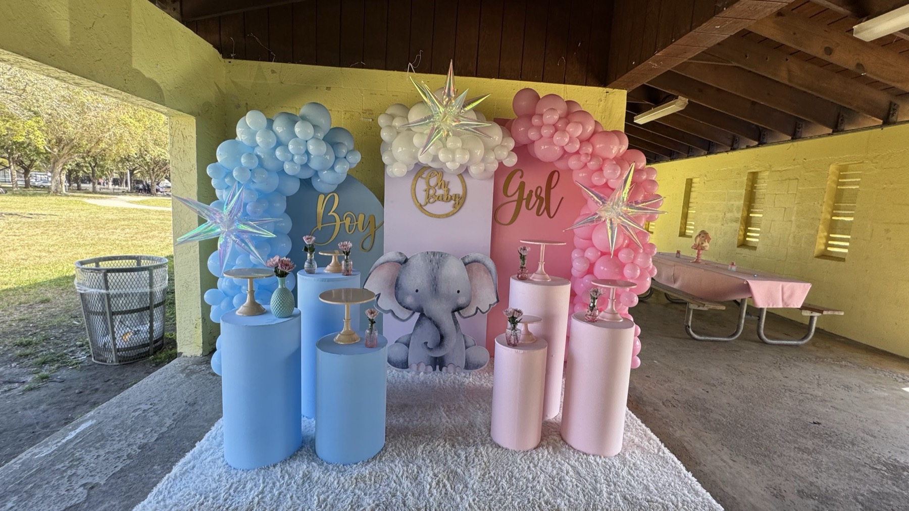 Gender Reveals 4