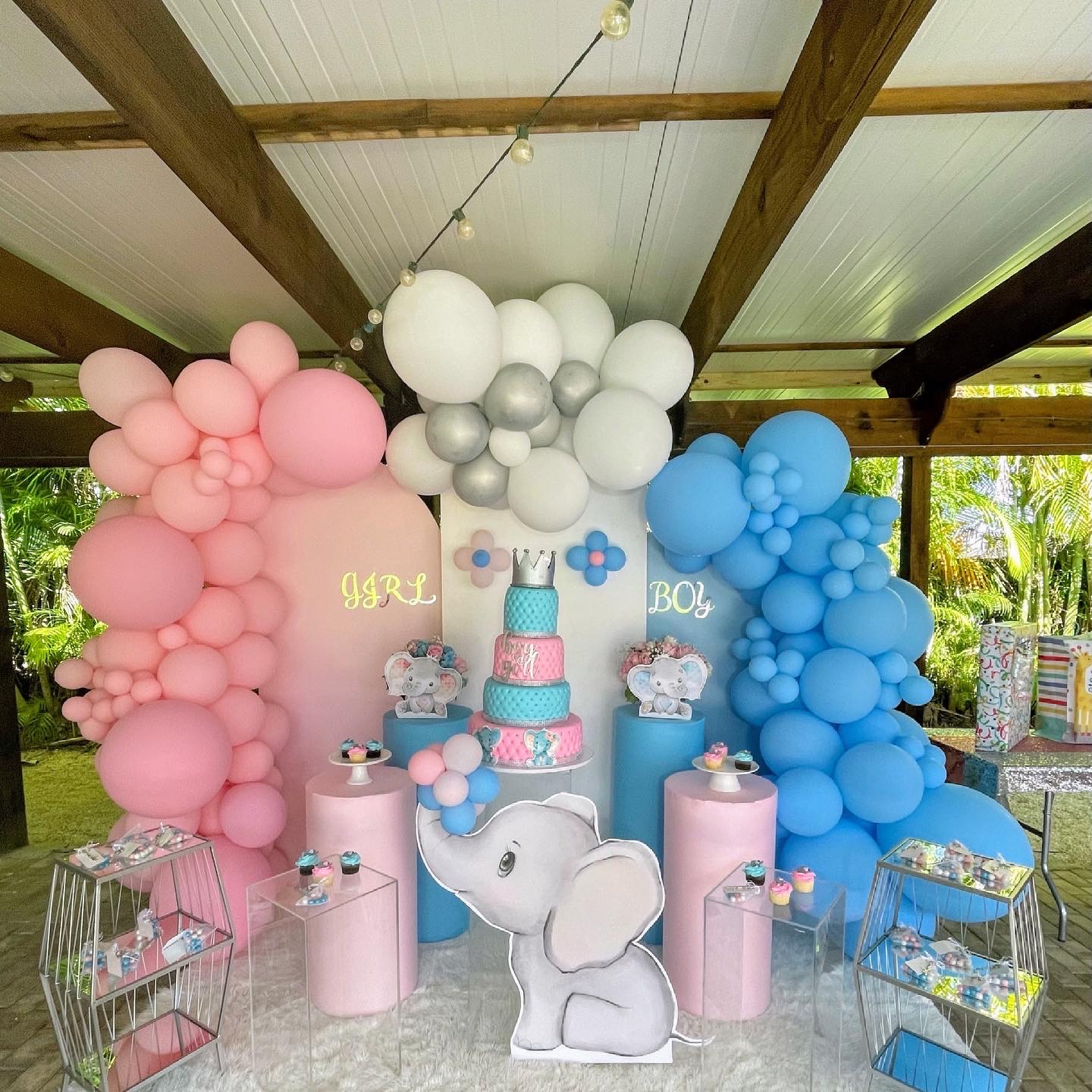 Gender Reveals 6