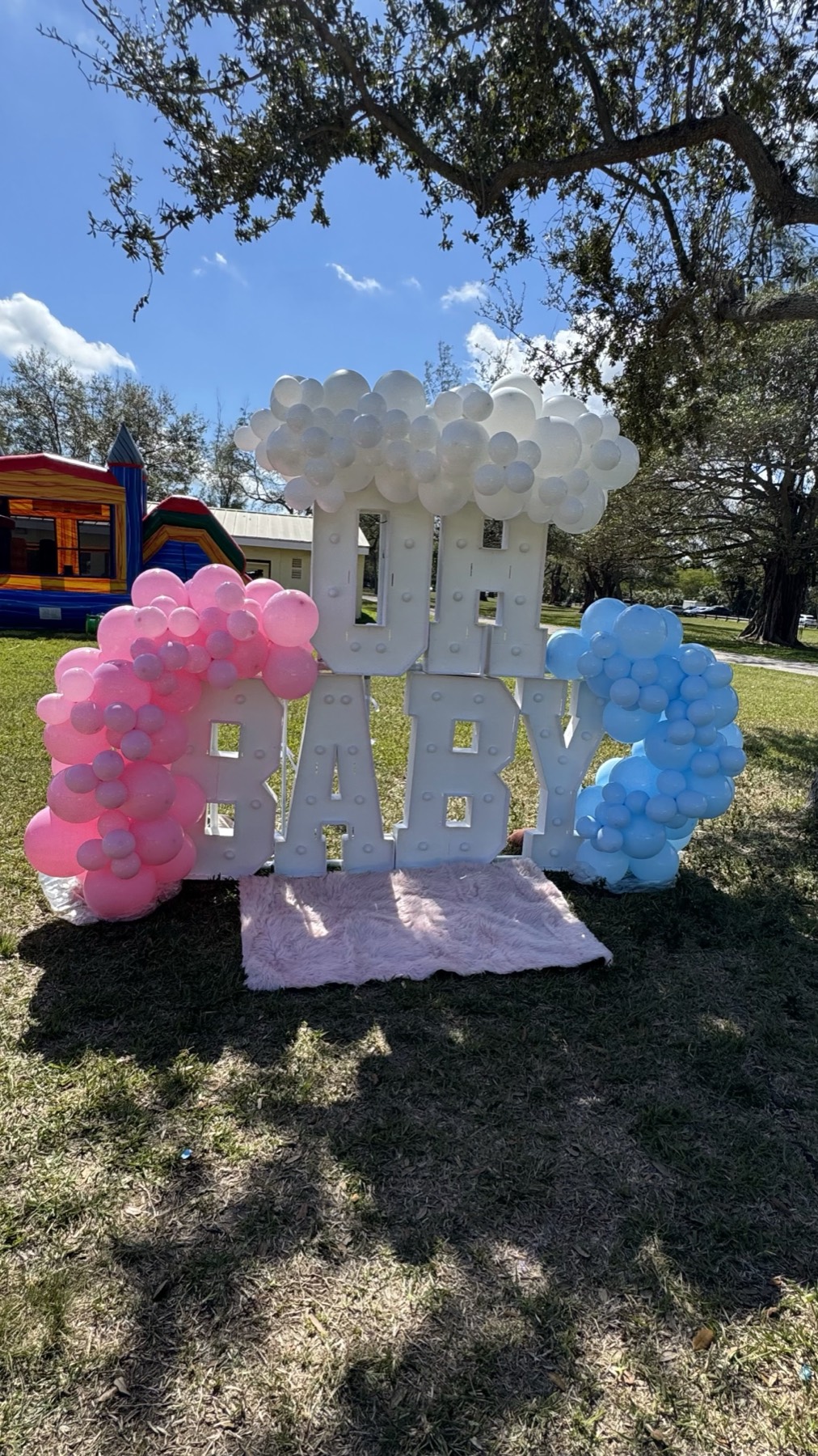 Gender Reveals 7