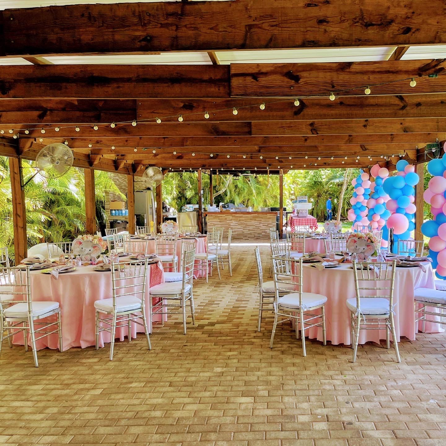 Gender Reveals 8